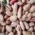 White / Red / Pinto / Black/ Green Pulses and Beans Exporters