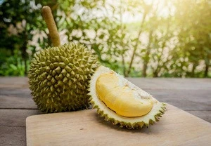 Whole Durian Monthong from Thai Farmer grow in Chantha-Buri and the Southern of Thailand