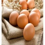 WHOLE QUAIL EGG AND YOLK POWDER