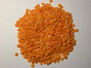Whole red lentil Sortex de-husked Red lentils polished or unpolished