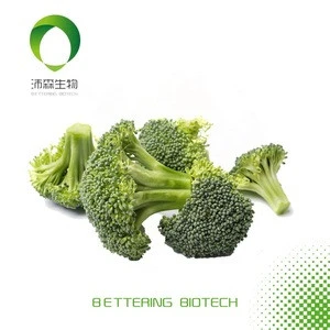 whole sale for 100% pure Natural Broccoli Powder, Fruit.Vegetable  FDpowder