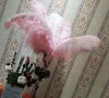 Wholesale 18 to 26 inch Dyed white Ostrich Feather for Wedding Centerpiece
