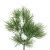 Import Wholesale artificial plant larch simulation plastic grass masson pine from China