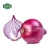 Import Wholesale Fresh Onion Red Onion Export Price from China