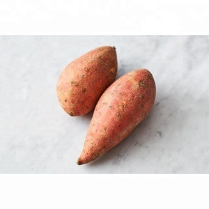 Wholesale Fresh Sweet Potato / Sweet Fresh Potato Price / Sweet Potato Exporter In India