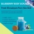 Import Wholesale korea Skin Cleaning Moisturizing pure himalayan Blue Berry Body Salt Scrub from China