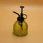 Wholesale Plant Mini Watering Spray Glass Bottle Can Pot