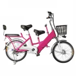 Wholesale Price Big Wheels 20 Inch Parent-Child Electric Bicycle with Three 3 Seats and A Basket OEM Color