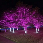Wholesale Wedding Christmas Party New Year Holiday Decoration LED string lights