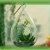 Import Wholesale Wedding Terrarium Glass ball Vase Centerpieces from China