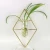 Import Wrought Iron Geometric Metal Rack Hanging Flower Glass Wall Vase for Home Decoration from China
