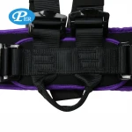 Yoga Bungee Resistance Bands Dance Training Pull Rope