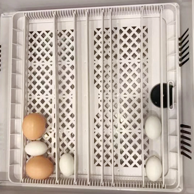 YZ-36 CE approved automatic best price auto egg turn 36 chicken eggs incubator
