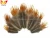 Import ZPDECOR Wholesale Bulk Natural Yellow Golden Pheasant Plumage for DIY Fashion Handmade Feathers Headbands from China