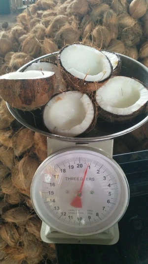 Coconut Semi husk