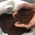 Import Superior Quality Reddish Brown Cloves in Best Discounts from South Africa