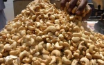 100% Original Food Grade Cashew Nuts