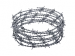 Barbed Wire