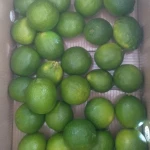 Price 2021 for green lime export good quality