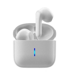 H20-PorBluetooth earbuds