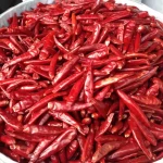 Best Quality Dry Red Hot Chilli Peppers Fresh Raw Herb Source From Germany Factory Direct Teja Red Chilli Spices
