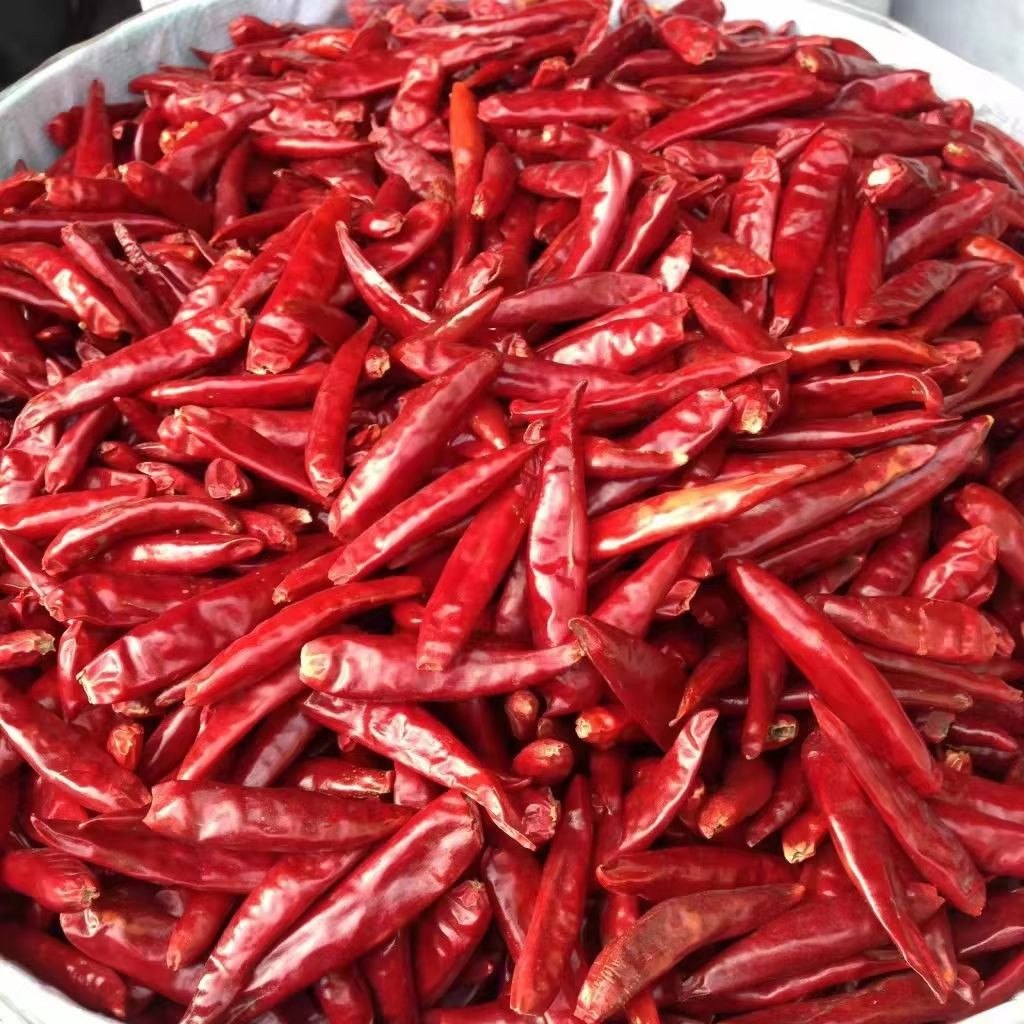 Buy Best Quality Dry Red Hot Chilli Peppers Fresh Raw Herb Source From ...