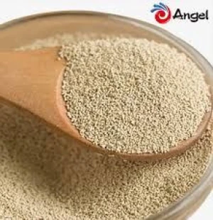 Buy Angel Yeast Beta Glucan Powder in Australia | Natural Immune Booster & Functional Ingredient