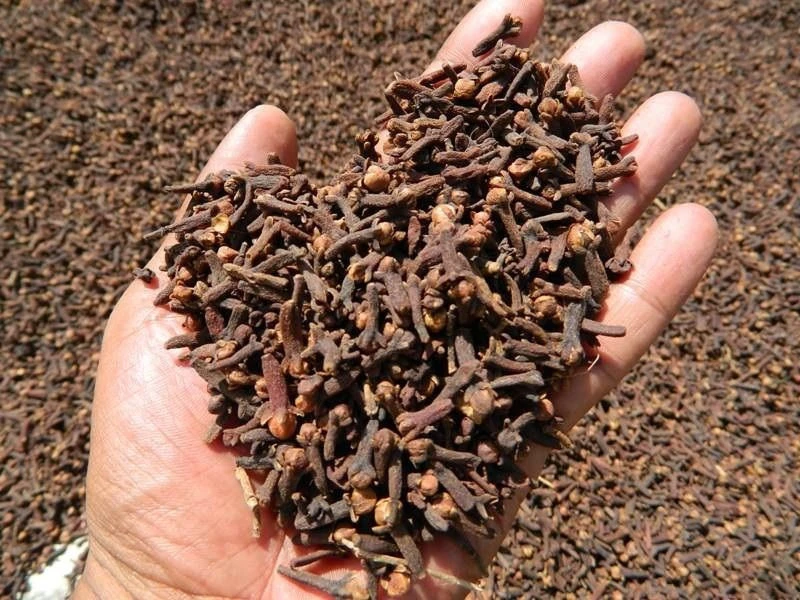 Buy Superior Quality Reddish Brown Cloves In Best Discounts from