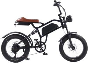 Original xuelang factory price fat tire fatbike 250w-1000w motor e-bike fast speed 50kmh electric bicycle