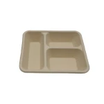 New Development 4 divisions 100% compostable Bamboo pulp lunch box storage box
