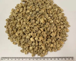 Natural Green Coffee Beans and Roasted Coffee Beans