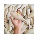 Wooden Fish toy