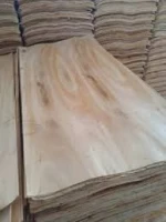 Quality Eucalyptus core veneer