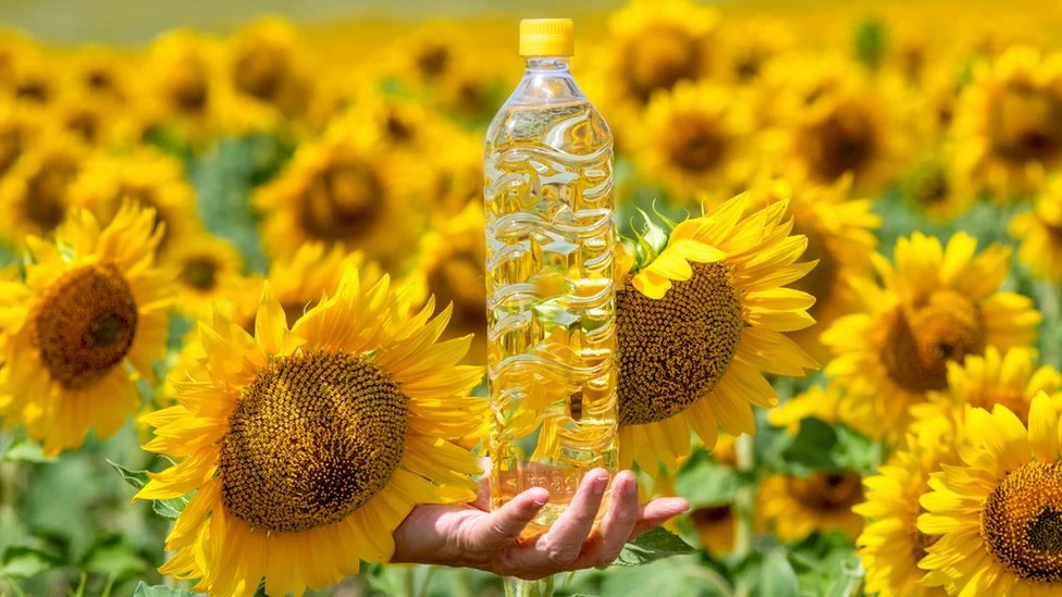 Buy Refined 100 Sunflower Oil, Pure Sunflower Cooking Oil from SA