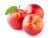Import apple fruits from Uzbekistan