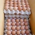 Import Brown and White CHICKEN EGG from Cameroon