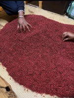 Premium pink pepper Berries / Baies Roses from Madagascar