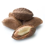 Raw and Roasted Brazil nuts Best Price Best Quality Hot Sale Price Dried Organic Brazil Nuts From Supplier