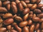 BITTER KOLA