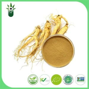 American Ginseng Extract , American Ginseng Root