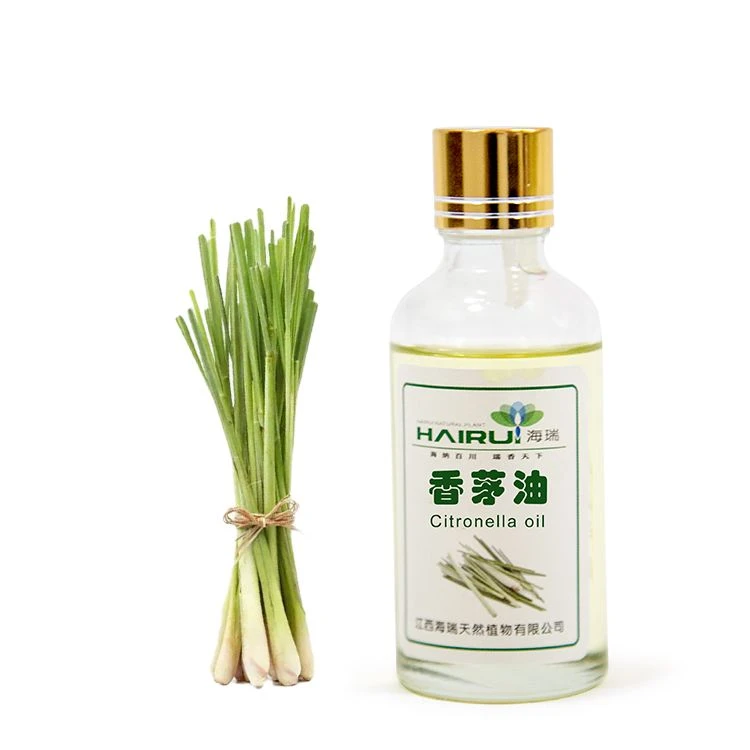 Buy Organic Citronella Essential Oil Bulk Cosmetic Grade Citronella Oil Bulk Quantity Java