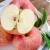 Import Fresh Apples Ready For Export from South Africa