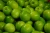 Import Granny Smith apples from South Africa