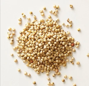 White and Red Sorghum Grains for Sale at Low Price