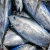 Import Abdullah Fish Traders from Bangladesh