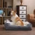 Import Laifug MDI Dog Sofa from USA