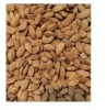 Premium Quality Almonds