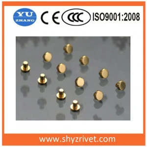Electrical Contact Rivet for Micro Motor