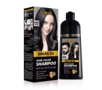 400ml Hair Dye Shampoo Guangzhou Manufacturer Private Label Ammonia Free Natural Herbal Permanent Hair Dye Shampoo