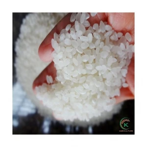Japonica Rice Husk Wholesale Viet Nam Sushi Rice